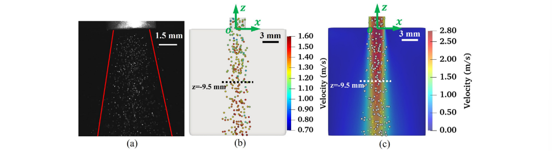Powder distribution and velocity fields, simulation vs experiment